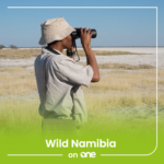 Wild Namibia