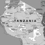 Tanzania police arrest two, accuse them of organising protests
