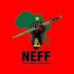 Namibian Economic Freedom Fighters has argued that there is a need to reevaluate the current democratic government system