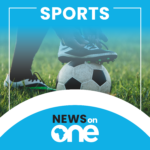 Sports Section (In daily news bulletin)