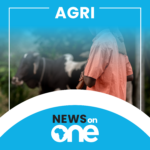 Agriculture Section (In daily news bulletin)